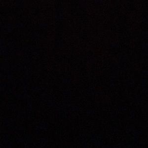 Meet your Posher, Ann